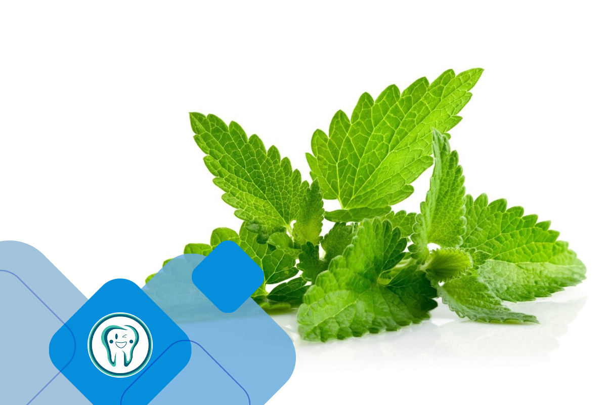 چگونه درد دندان به عصب رسیده را کمتر کنیم؟ 4 Mint has reached the nerve for toothache