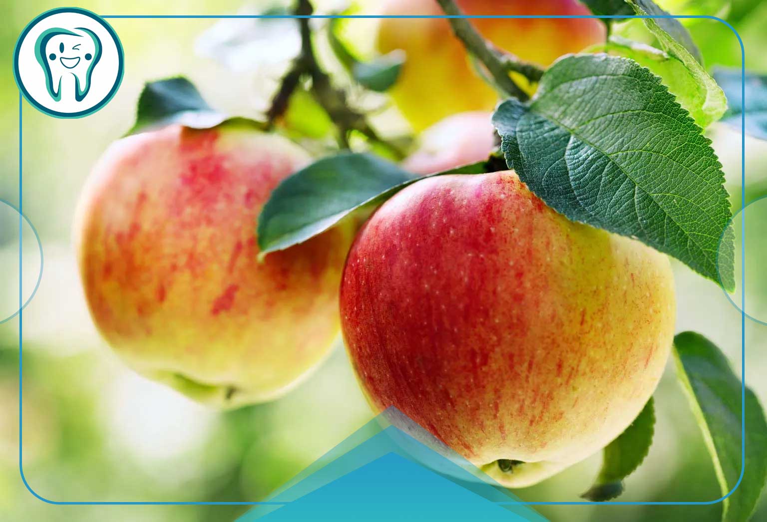 غذاهای مضر برای بوی بد دهان؛ چه غذاهایی باعث بوی بد دهان میشوند؟ 2 سیب برای بوی بد دهان