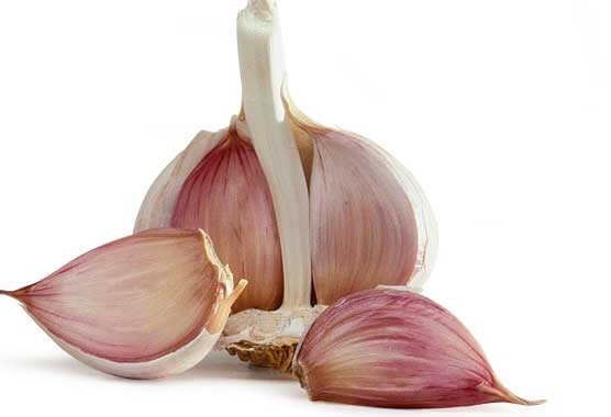 garlic c8aa91b